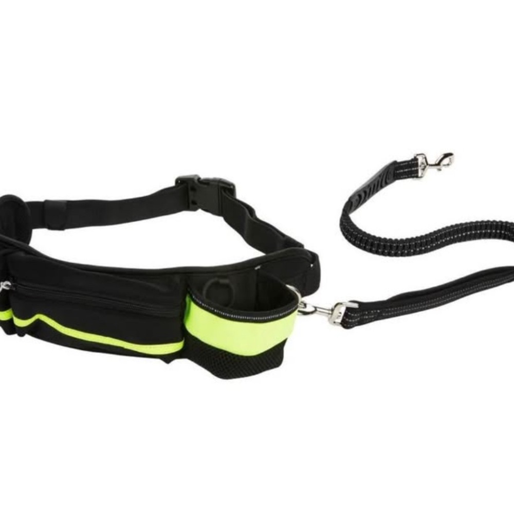 Reflective Black and Yellow Dog Leash and Waist Belt